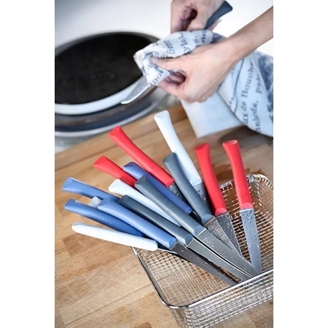 Opinel Coffret 4 Couteaux De Table Bon AppĂ©tit â Image 3