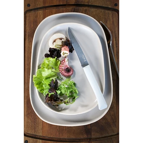 Opinel Coffret 4 Couteaux De Table Bon AppĂ©tit â Image 4