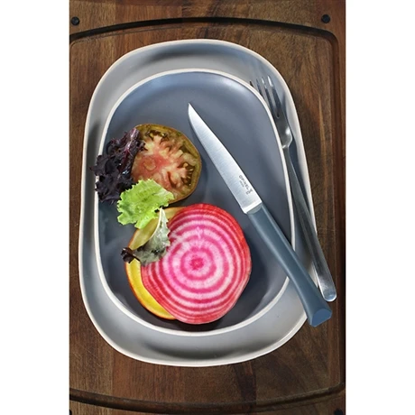 Opinel Coffret 4 Couteaux De Table Bon AppĂ©tit â Image 5